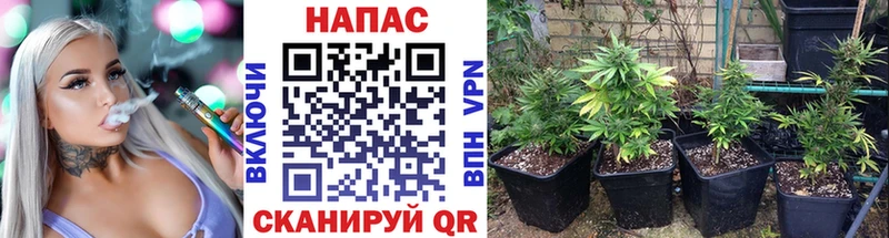 Сколько стоит Пыталово МАРИХУАНА  ссылка на мегу зеркало  COCAIN  СОЛЬ  ГАШИШ  Меф 