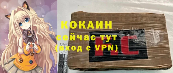 apvp Алзамай