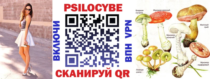 Псилоцибиновые грибы MAGIC MUSHROOMS  Пыталово 